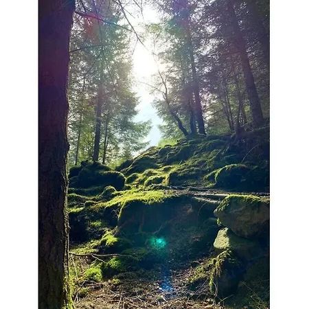 Holiday home Naturgeist Comfortable Noschenrode