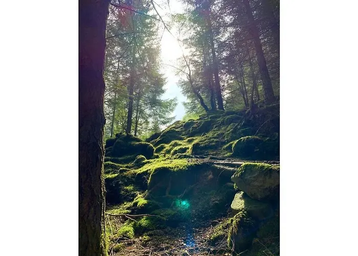 Holiday home Naturgeist Comfortable Noschenrode