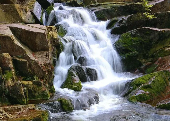 Naturgeist Comfortable Holiday home