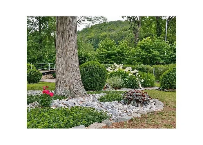 Naturgeist Comfortable *