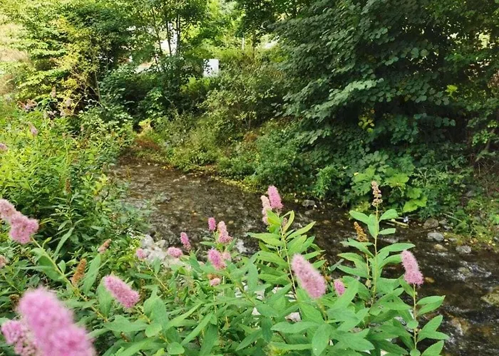 Naturgeist Comfortable * Noschenrode